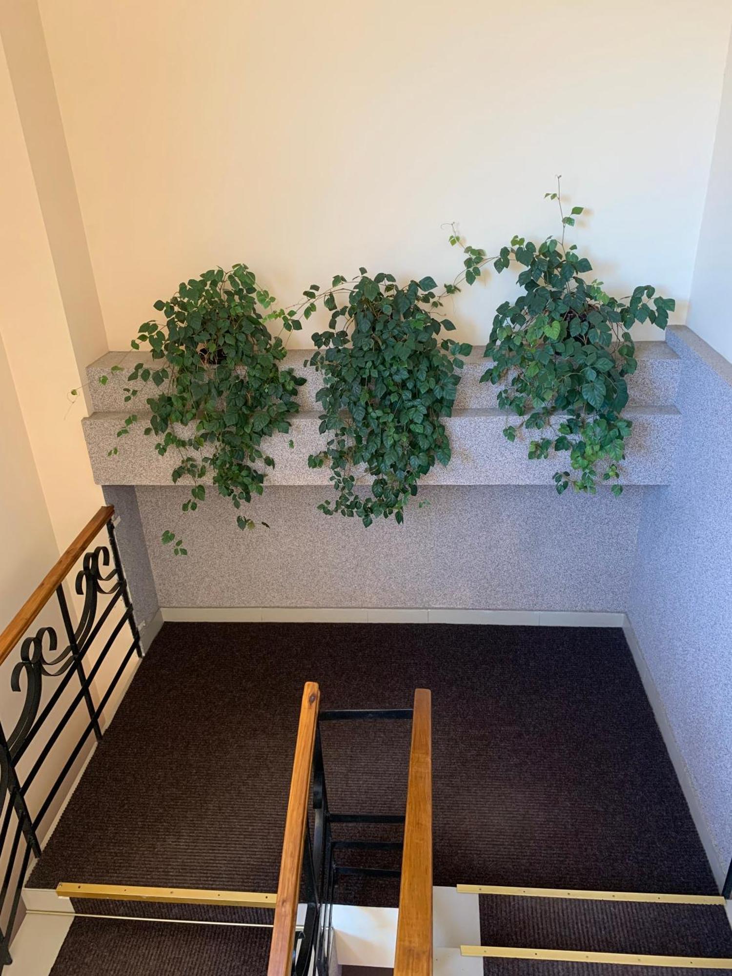Hostel Iskra Лвив Екстериор снимка